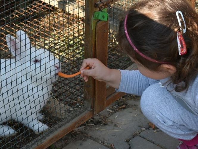 donacije.rs zoo planeta