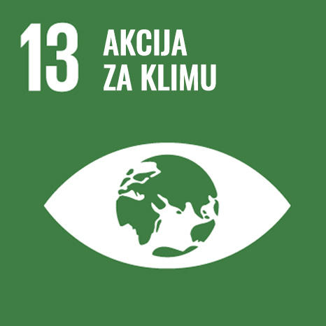 SDG 13