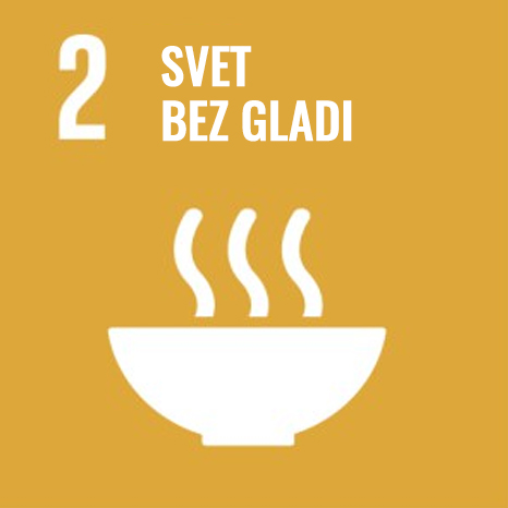SDG 2